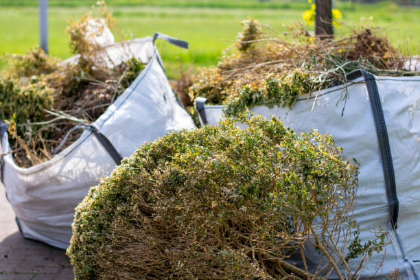 Best Shed Removal  in Sharon, WI